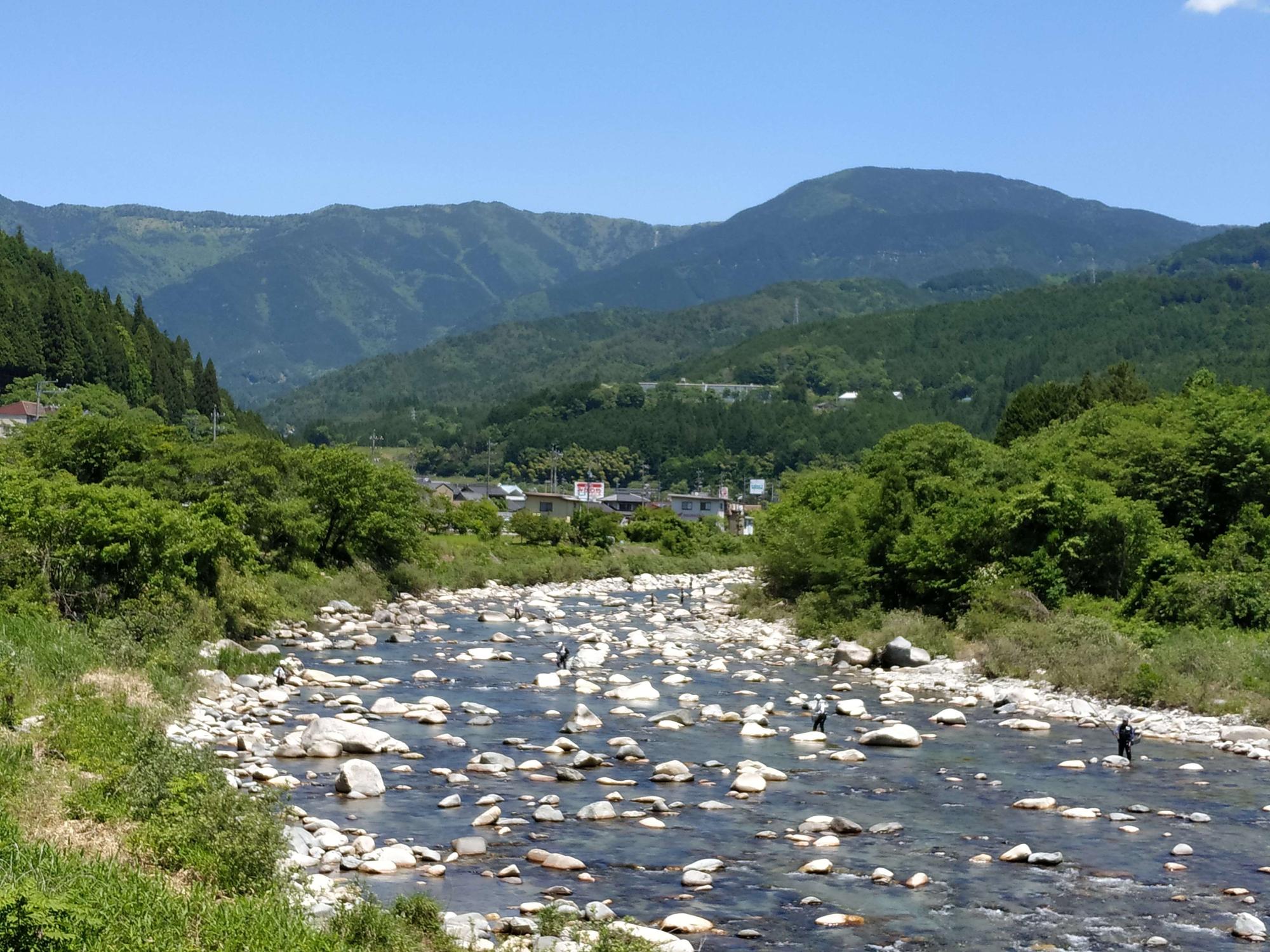 緑まぶしい三界山と清流・青川 そして鮎釣り