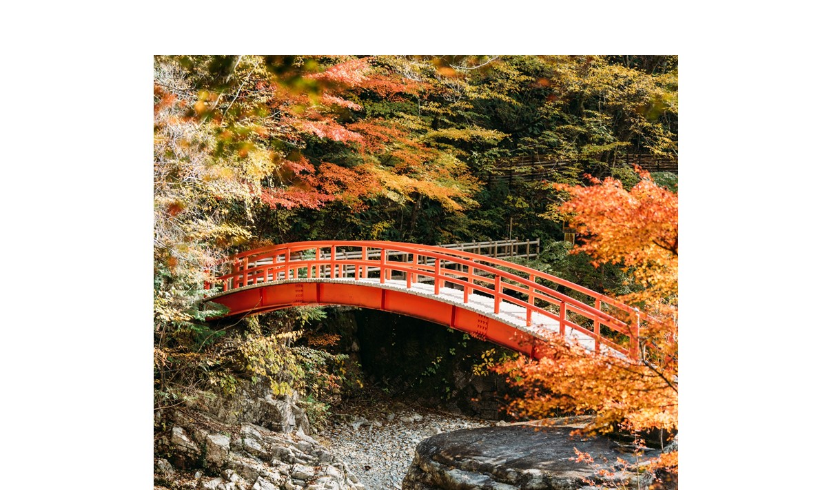 夕森公園の紅葉の様子