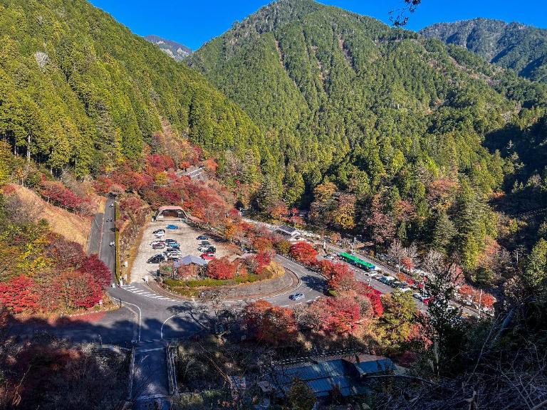 11月9日夕森渓谷のもみじの様子その1