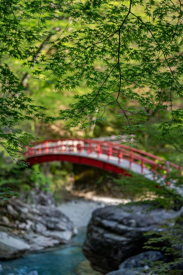 もみじ橋
