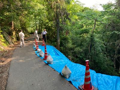 山中ののり面が崩落した道路を視察している様子