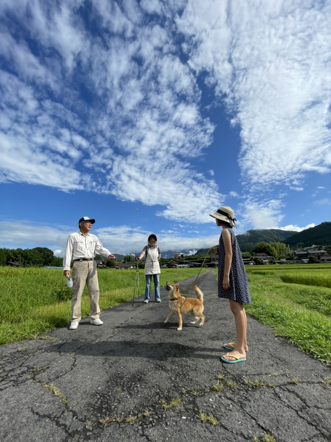 孫と田園の夏