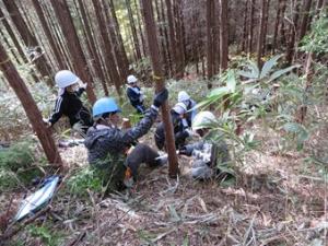 shisei70th_tsukechiminamies04