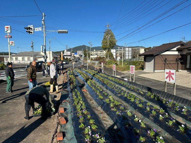 ゲンキー苗木店側の花壇の植栽後の様子