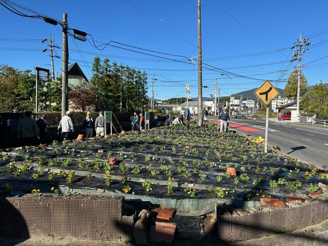 一休側の花壇の植栽後の様子