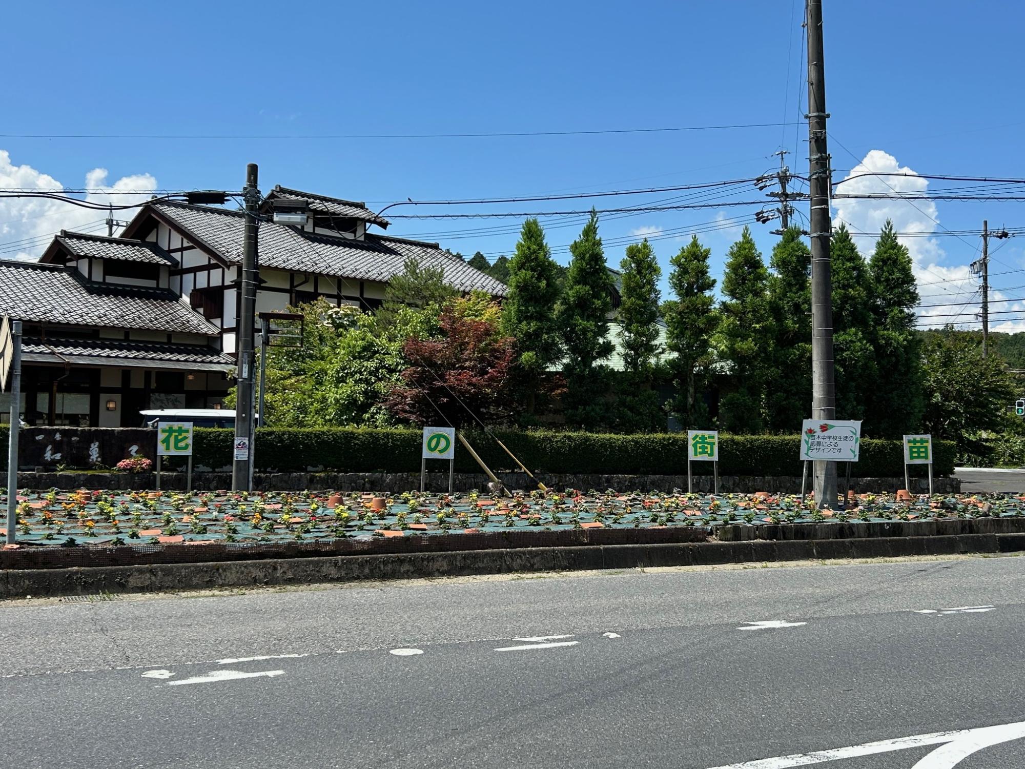 きれいに植栽された花壇の様子