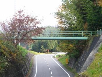 道路の上を横断している水管の画像
