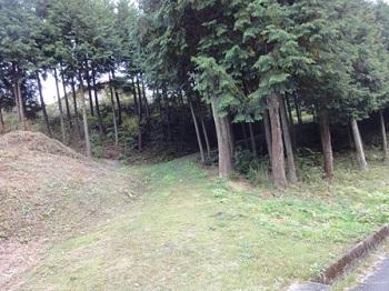 龍泉寺街道の入り口の山林の中の小道画像