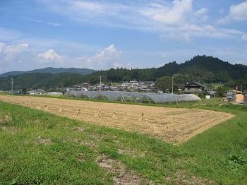 遺跡があった田畑の画像