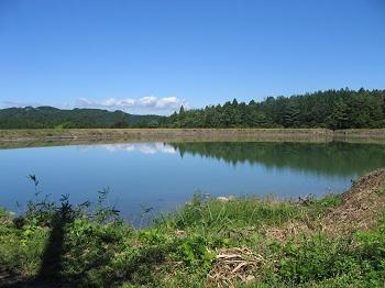 ため池の全景画像