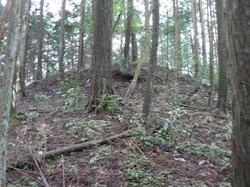 山の中の古墳跡の画像