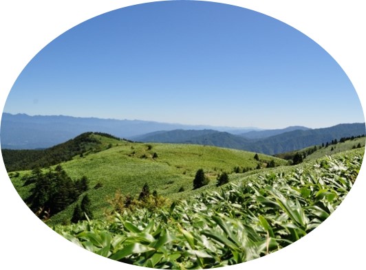 富士見台高原からの眺め