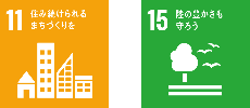 sdgs11_15