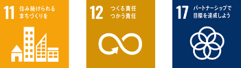 sdgs_11_12_17.png