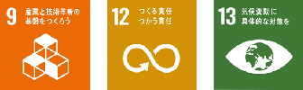 sdgs_9_12_13.png
