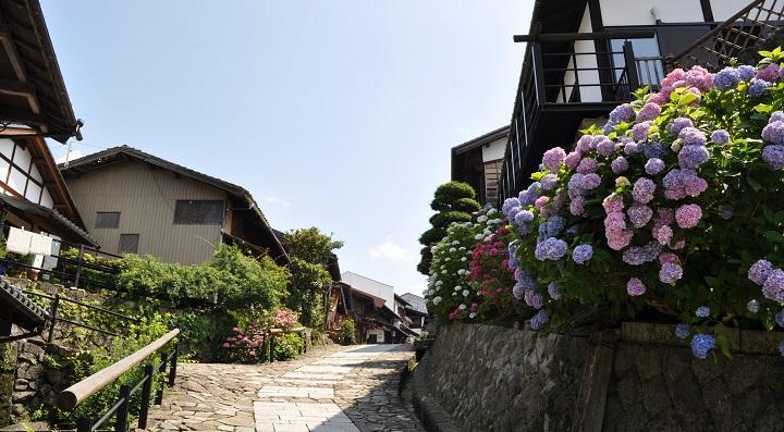 Kankou.H28.magome5.jpg