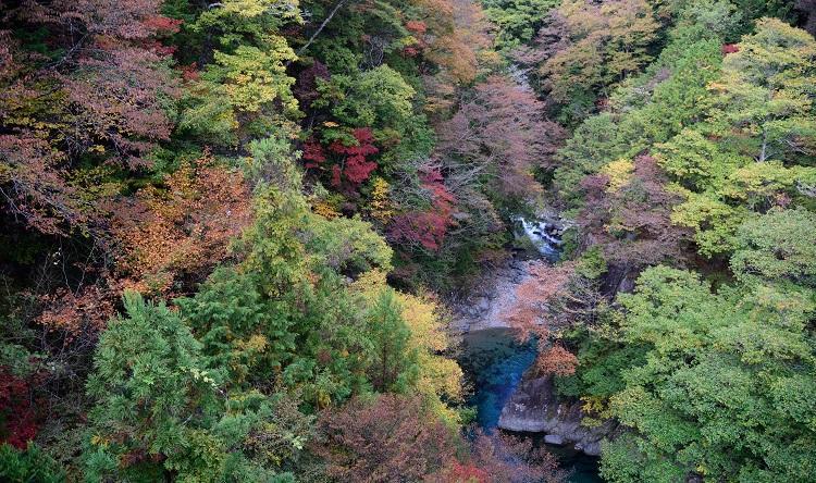 付知峡攻橋からの紅葉の写真