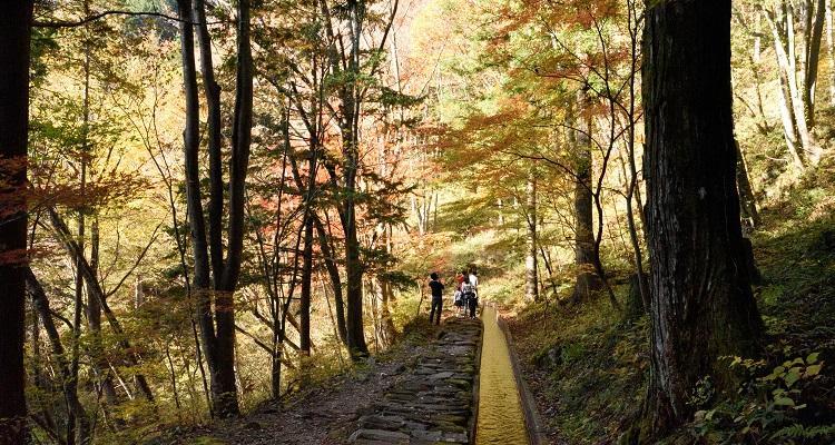 不動滝遊歩道の写真