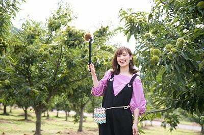 栗菓子の名産地で秋限定の栗拾い