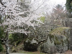 苗木城跡の四季の見どころ
