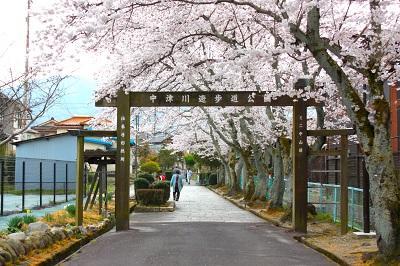 中津川遊歩道公園.JPG