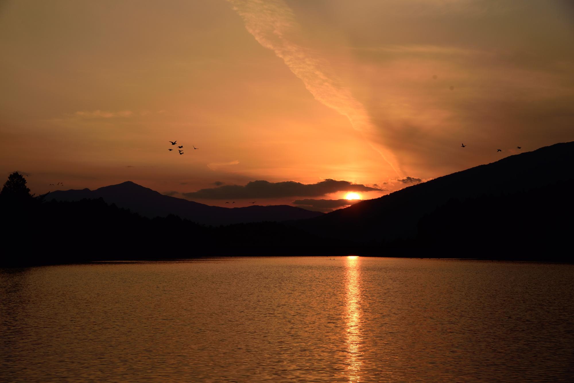 夜明けの森の夕暮れ