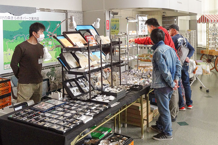 無料デー鉱物専門店