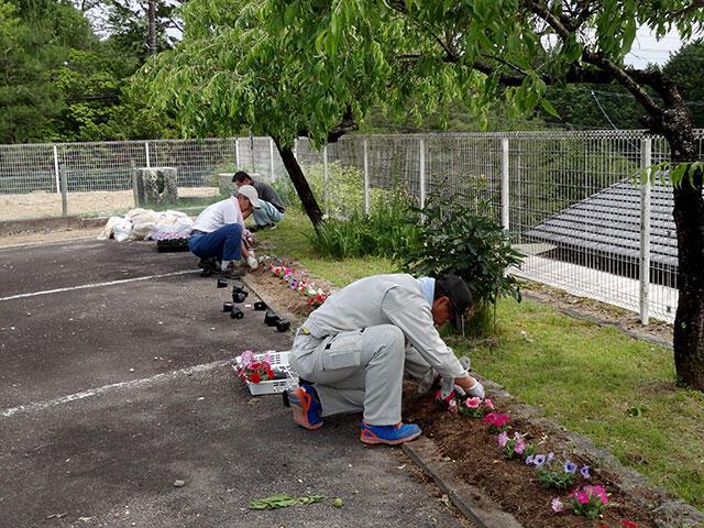 花植え