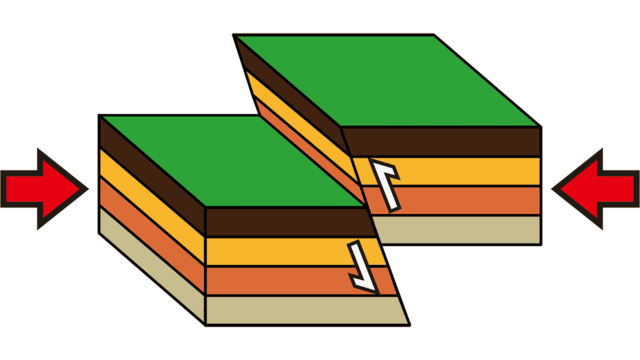 逆断層(図解)