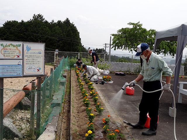 花壇植栽