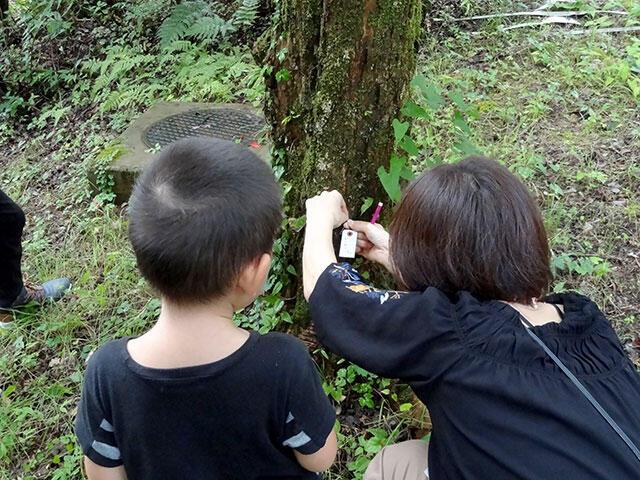 みんなも見てね