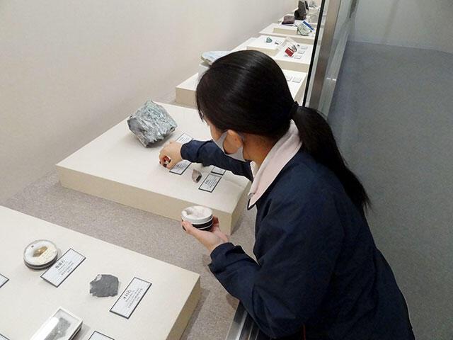 展示実習