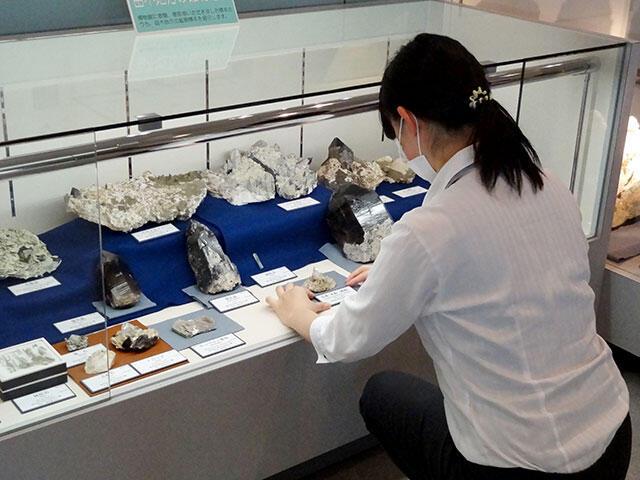 展示実習
