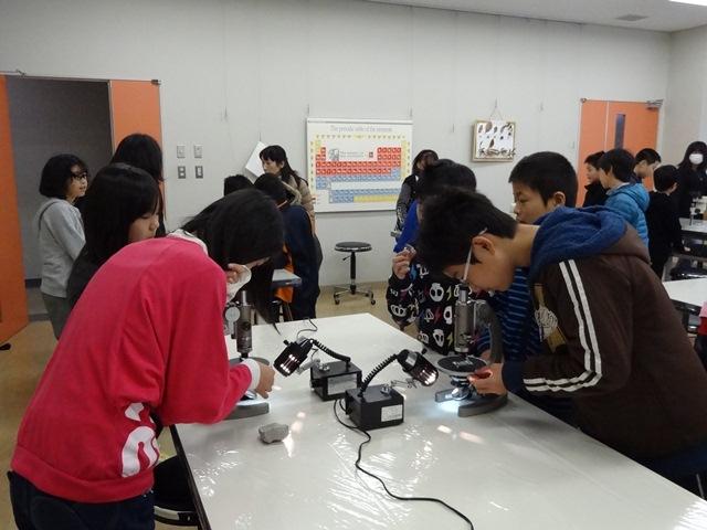 顕微鏡実習のようす