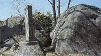 naegi-toyama_intro_20120322_1.jpg