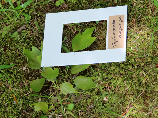 きょうりゅうのあしあといっぱい
