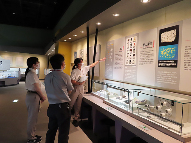 展示解説
