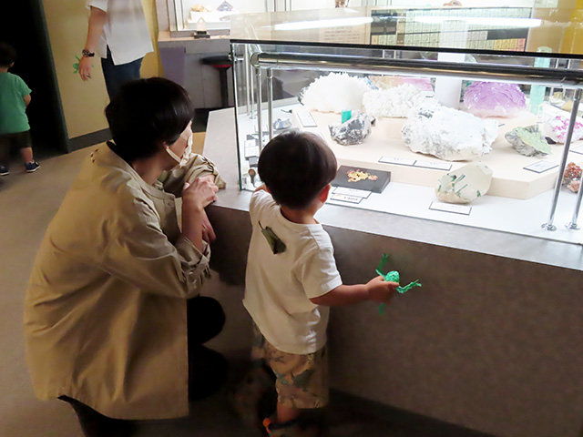 展示室見学