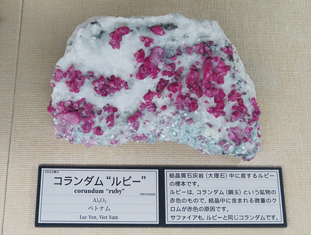 常設展示室のルビー