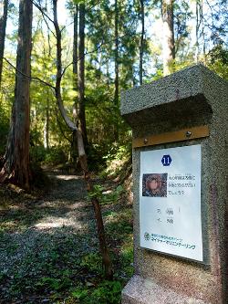 問題ポスト