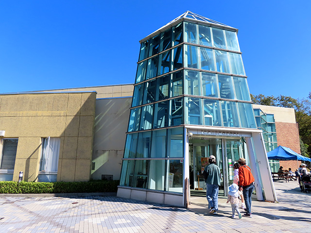 文化の日入館無料デー2024