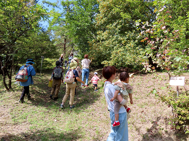 みんなでお散歩