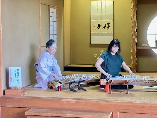 箏の演奏