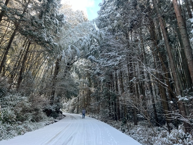 城跡までの雪の道