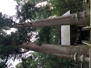 恵那神社