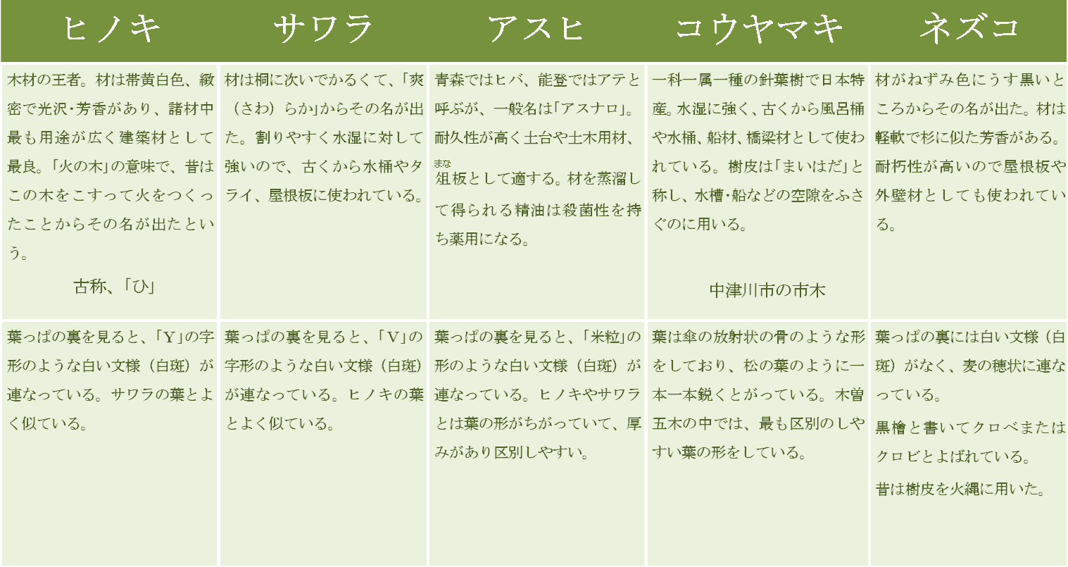 木曽5木の説明