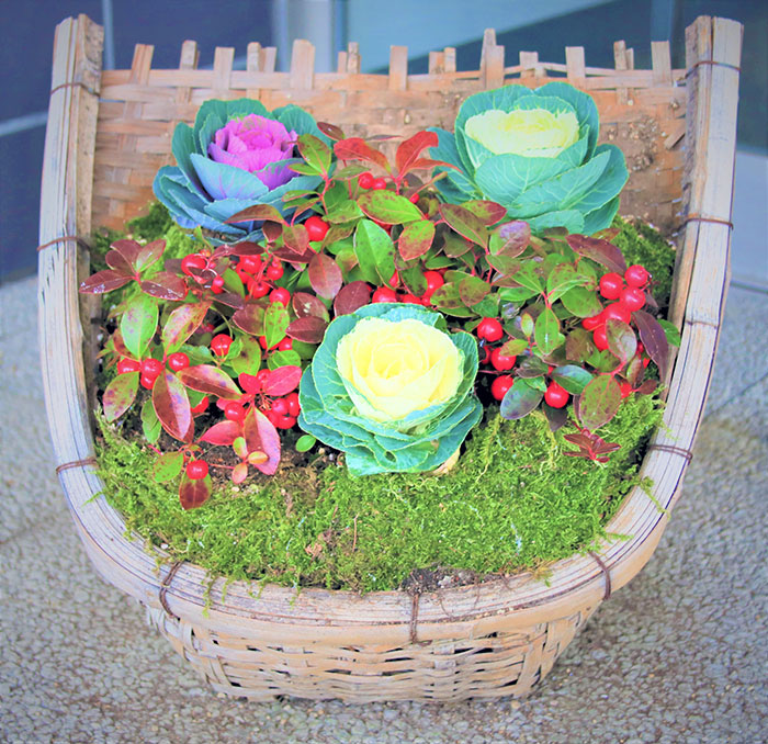 当館玄関の寄せ植え