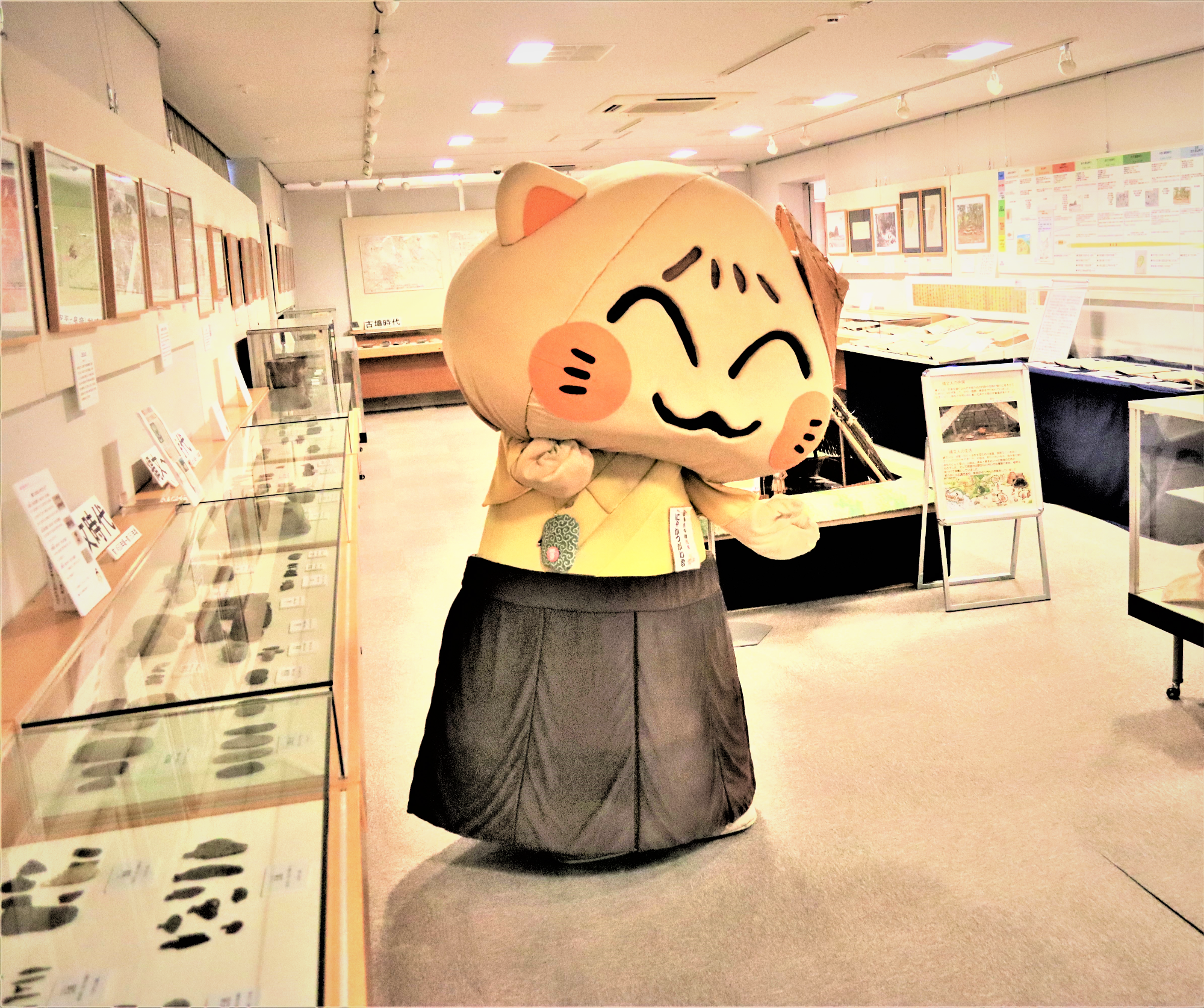 展示室のにゃかつがわ君