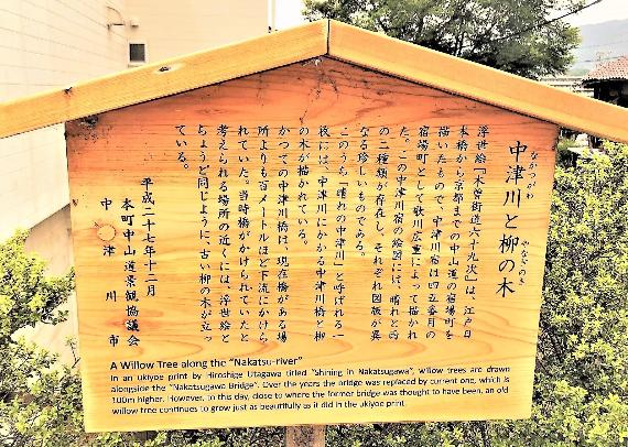 中津川と柳の木