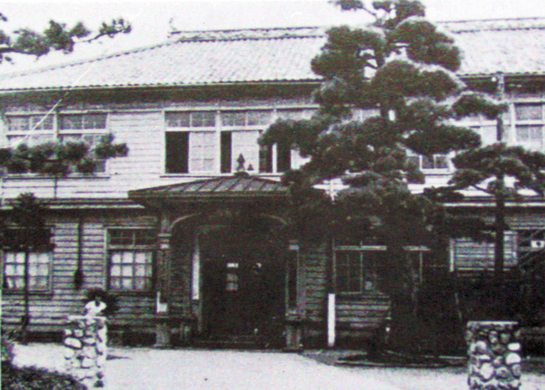 昔の公民館と古い松.